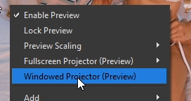 Windowed Projector.png